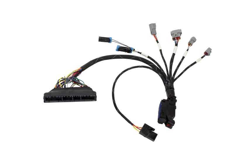 AEM Infinity 6/8h PnP Jumper Harness 30-3501