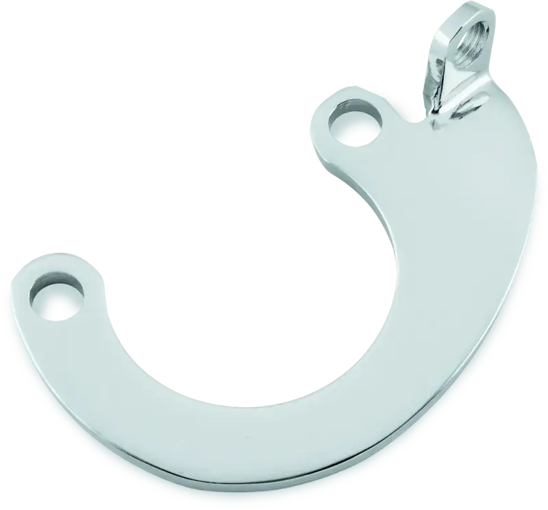 Bikers Choice Chrome Big Twin Mousetrap Eliminator Bracket bkc482899