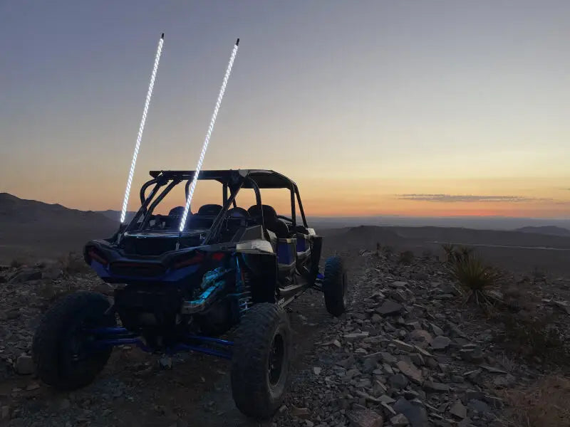 Whip It 5Ft Blk Bt Rgb Chase Set whisb-chsbtr-152